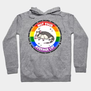 LGBTQIA+ Opossum Pride Hoodie